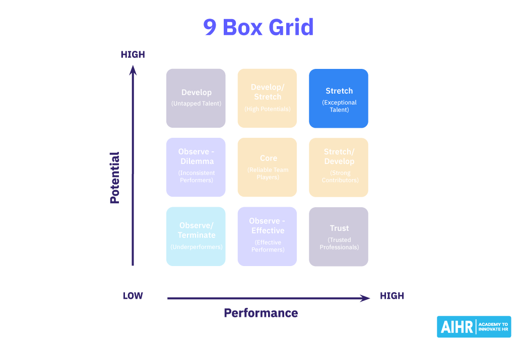 Exceptional talent on your 9 box grid are your future leaders.