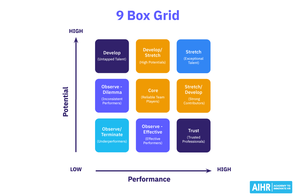 9 box grid is a popular talent management tool.