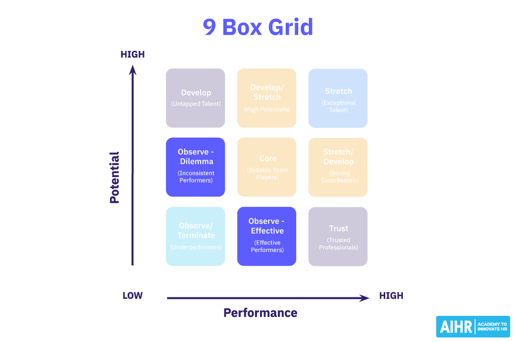 Create a performance improvement plan for inconsistent performers and effective performers on the 9 box grid.