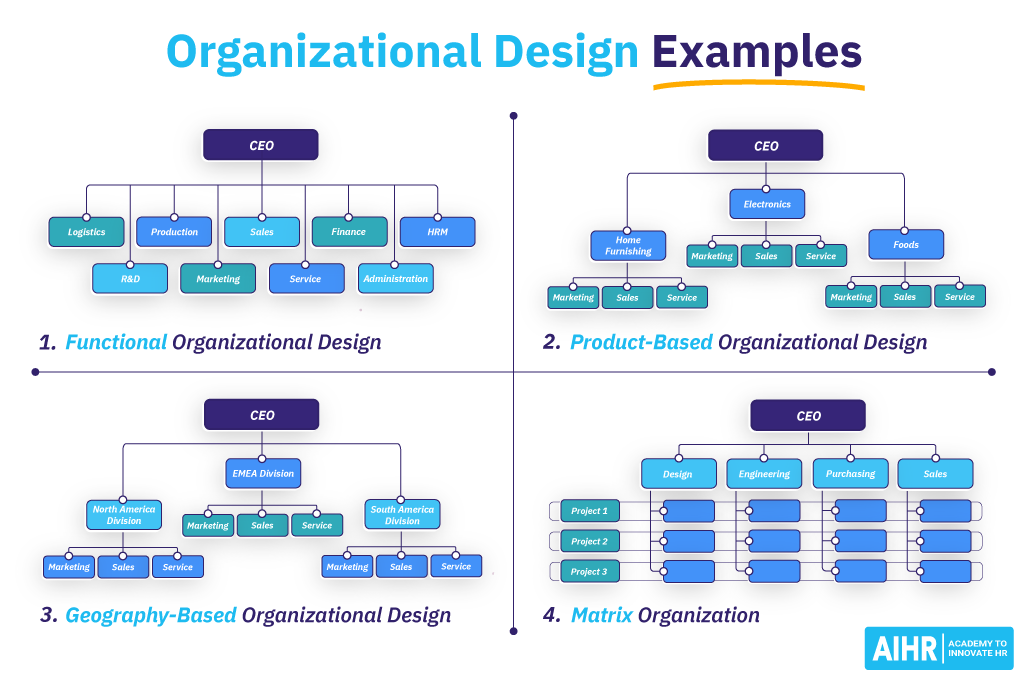 Organizational Design Examples