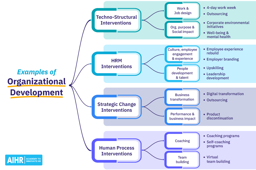 Examples of Organizational Development