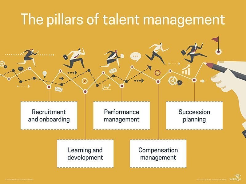 Talent management pillars