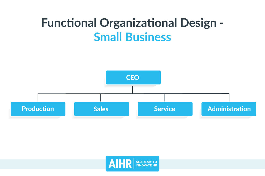 Functional Organizational Design - Small Business