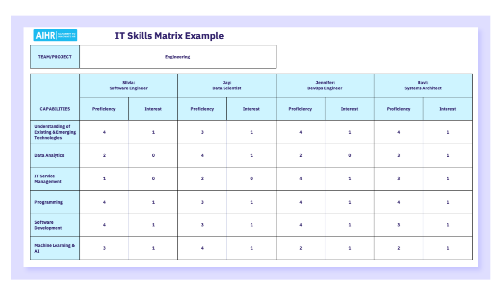 IT skills matrix example.