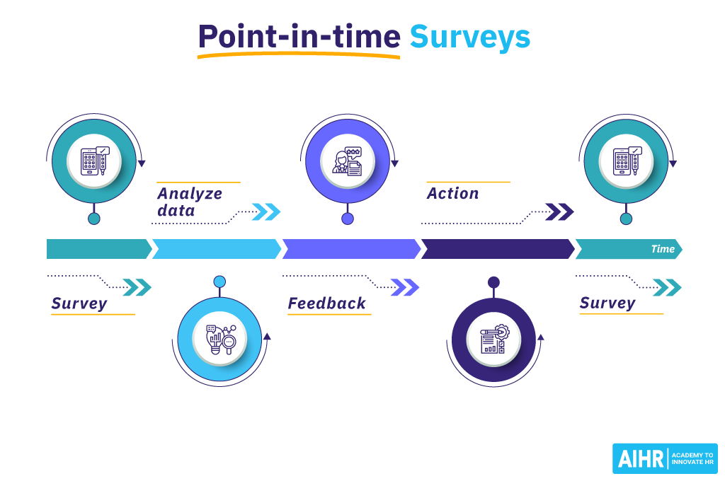 نظرسنجی های لحظه ای Point-in-time Surveys