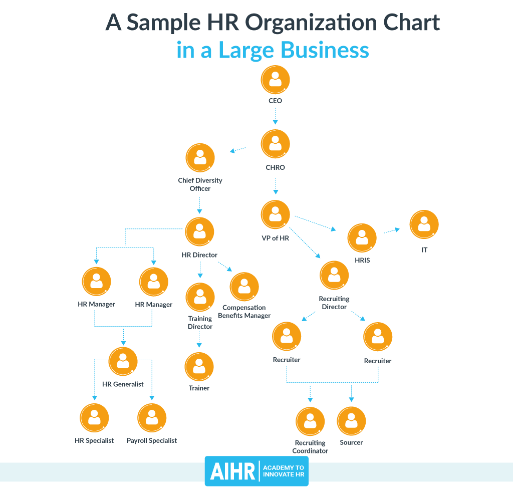 Sample HR Organization Chart: Large Business