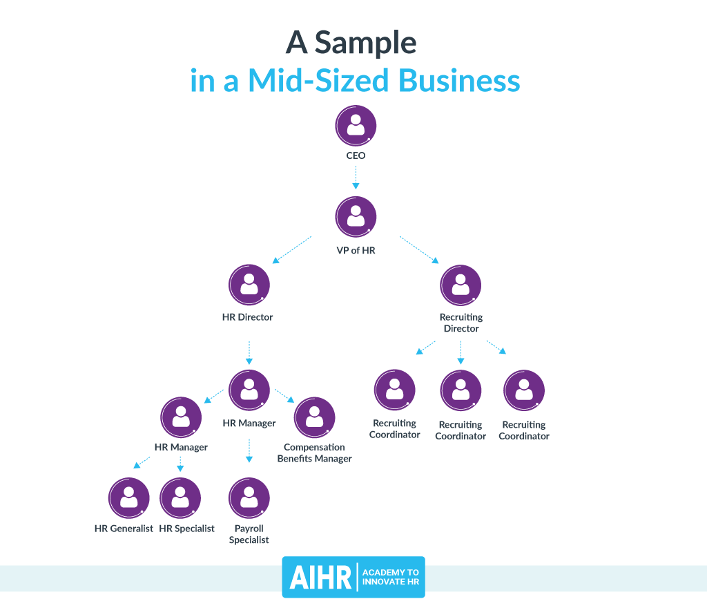 Sample HR Organization Chart: Mid-Sized Business