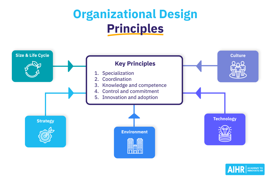 Organizational Design Principles