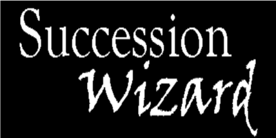 Succession planning tools - succession wizard