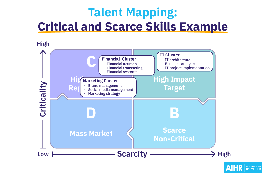 Talent Mapping: Critical and Scarce Skills Example