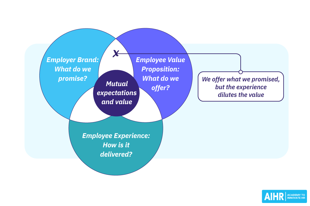 Employee Experience - 3 Es Model