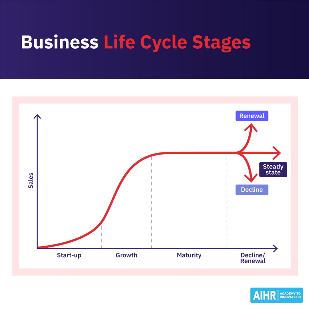کسب و کار-زندگی-چرخه-مراحل-بلاگ-1024x1024-1 Business life cycle stages: start-up, growth, maturity, and paths to decline, steady state, or renewal.