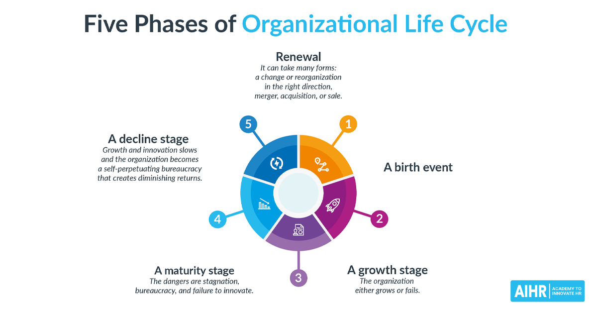 چرخه زندگی سازمانی: تعریف، مدل ها و مراحل